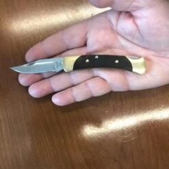 Buck Outdoor Mini Knife Stainless Steel Folding Knife Multifunctional Portable Camping Self-Defense Fruit Knife